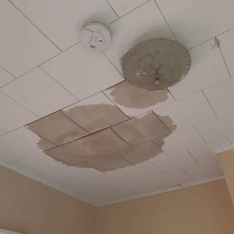 Ceiling Water Damage Repair in Aquebogue, NY